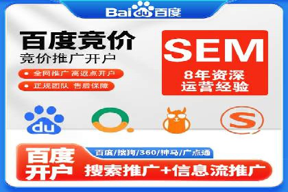 顶级SEM运营公司案例分析
